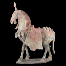 Cheval au superbe capara�onnage